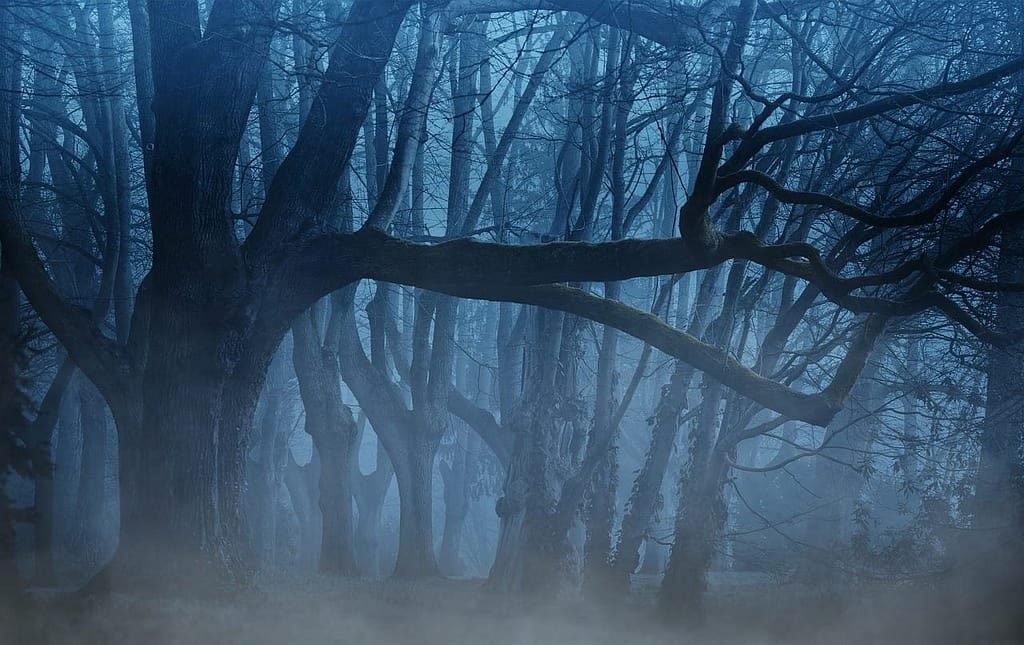 A haunted woods where the sleep demon lives