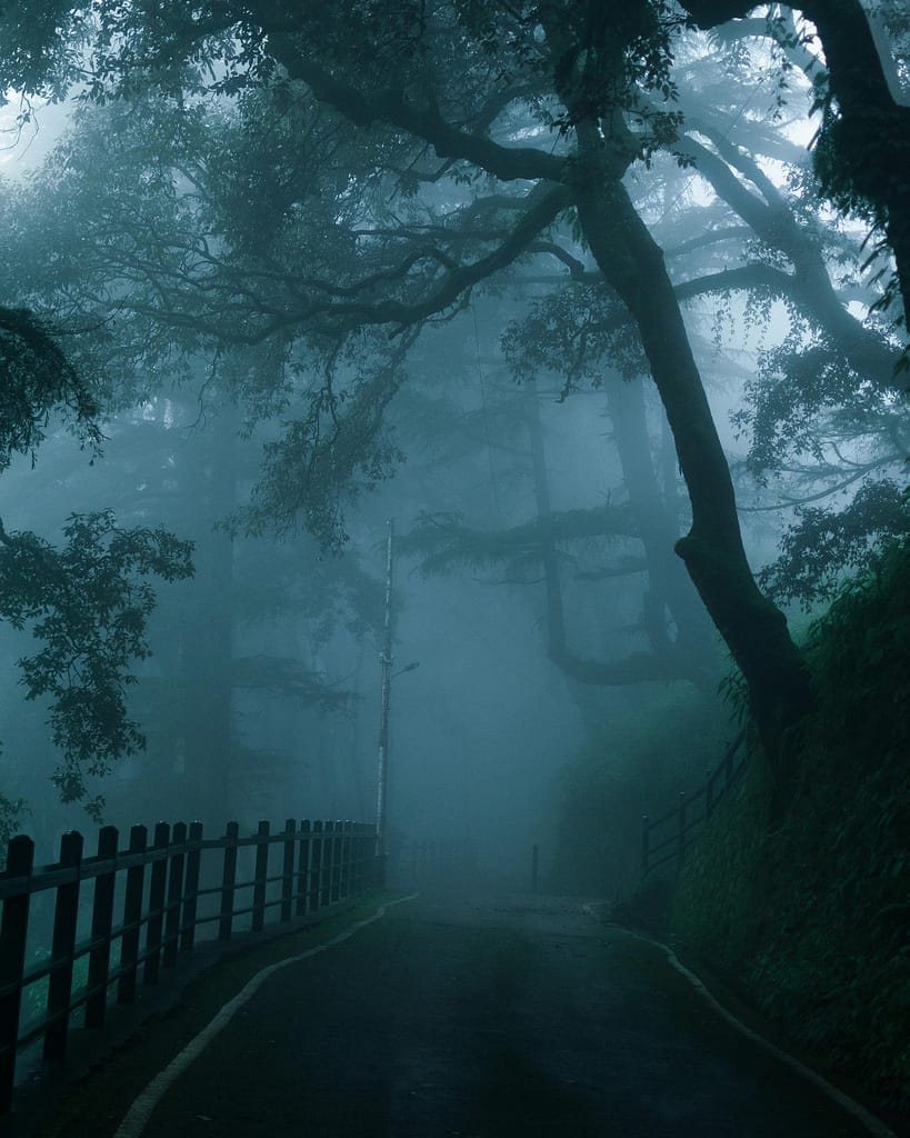 A misty forest path shrouded in fog, evoking a sense of mystery, introspection, and spiritual questions like is lucid dreaming a sin.